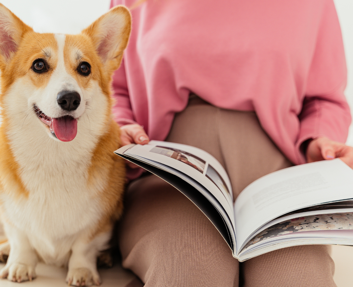 Reading with Willow on Thursday, May 15 at 4PM. Please register.